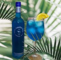 canto5 azul1