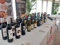 Vinos de Ribera del Duero, Mensaje Roble, Vegamazcan Roble, Roquesan