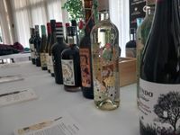 exclusivas terra, verdejo afrutado, vermut la bodeguita, todo el rato