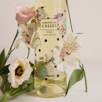 Dominio de Calles Afrutado vino blanco Verdejo distribución Alicante hostelería